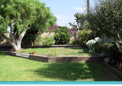 Yard view #1